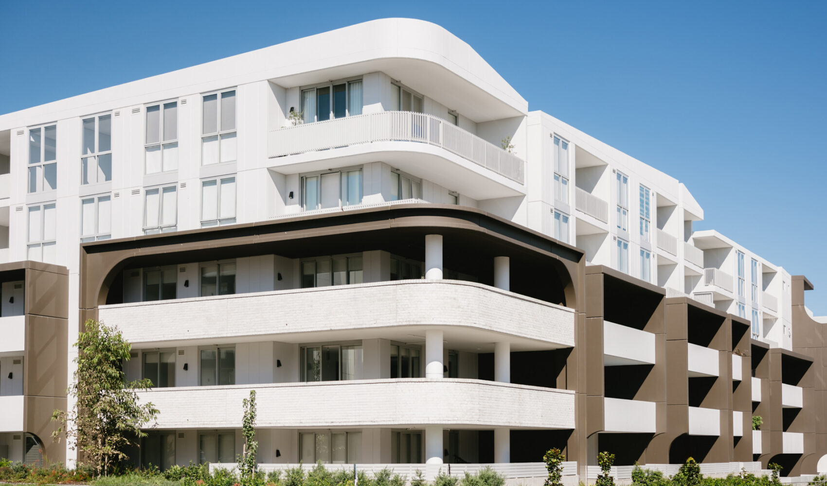 CMV_SchoeyWeb-3_edit